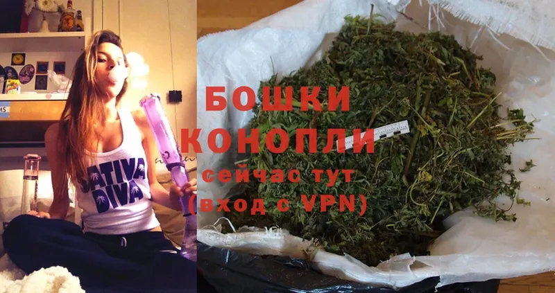 блэк спрут маркетплейс  где можно купить   Ковров  Конопля OG Kush 